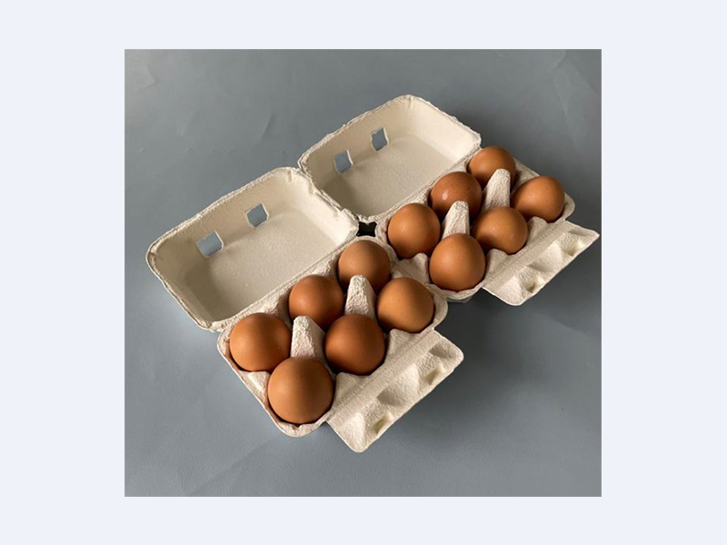 White pulp egg carton