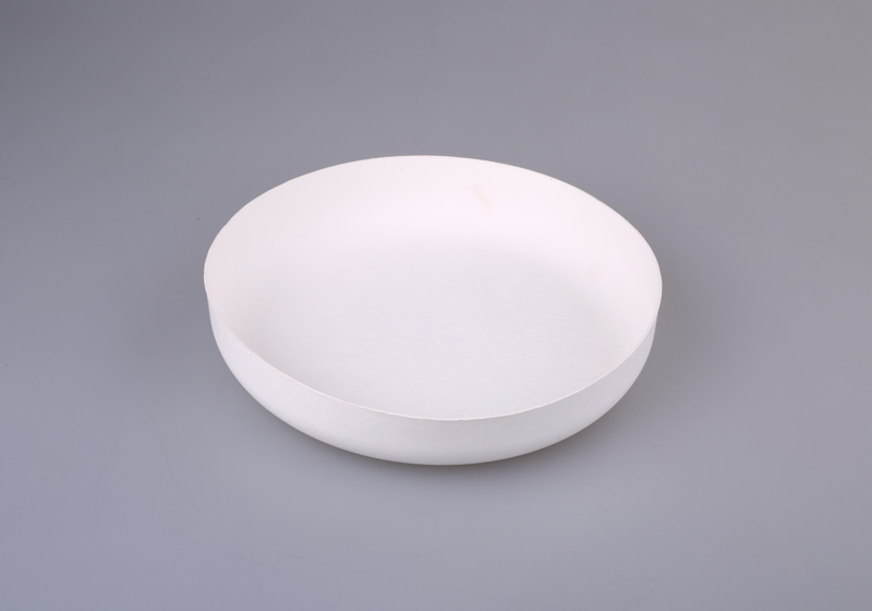 Wet-pressed paper pulp molded packaging for plates